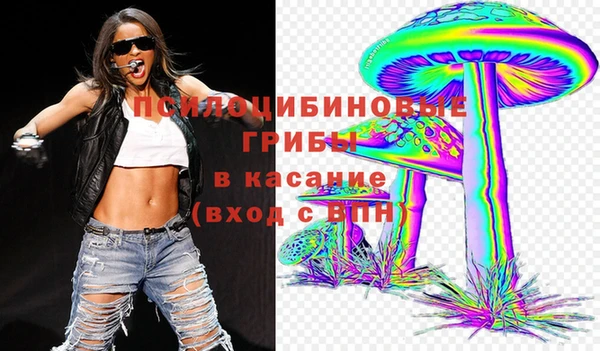 таблы Богданович